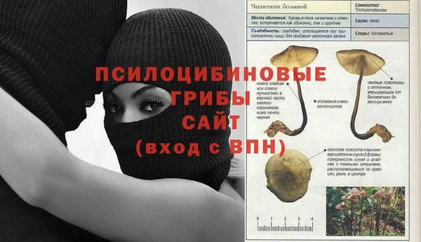 стафф Алексеевка