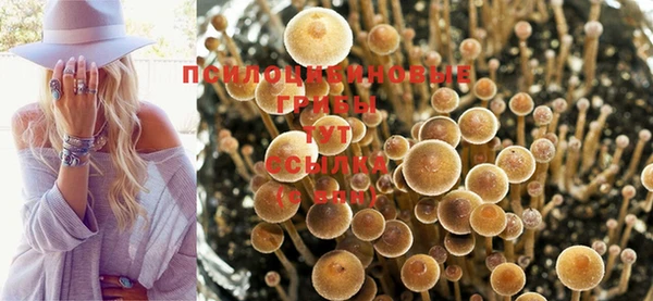 стафф Алексеевка