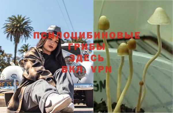 стафф Алексеевка