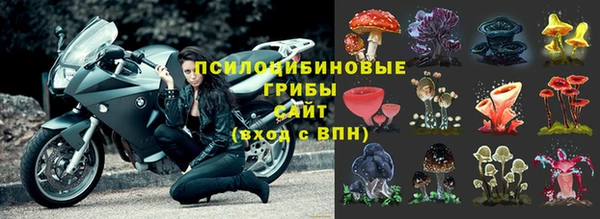 стафф Алексеевка