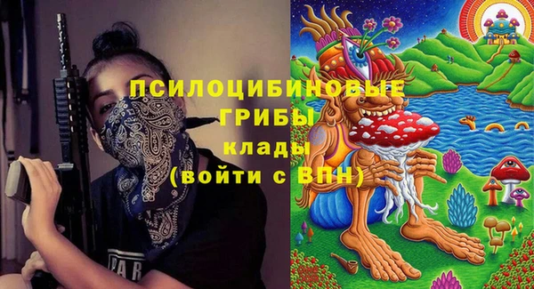 стафф Алексеевка