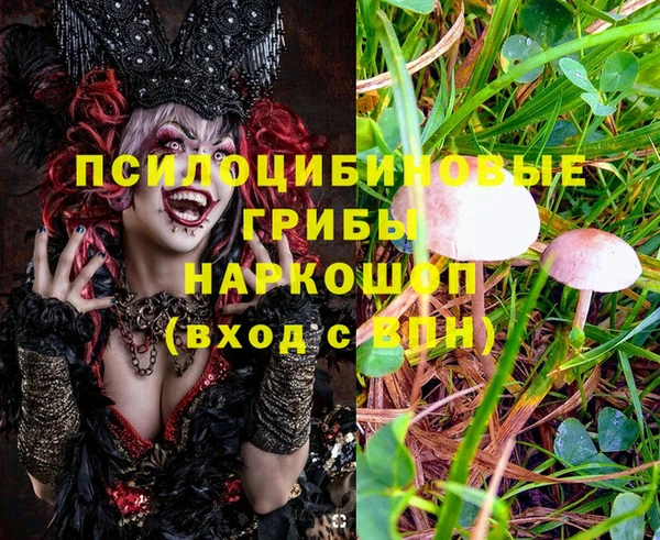 марки nbome Алексин