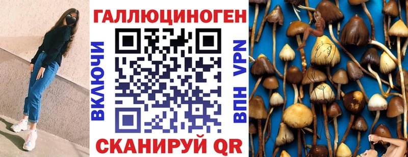 маркетплейс клад  купить наркоту  Алексеевка  Псилоцибиновые грибы Cubensis 